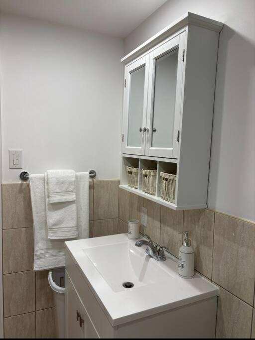 Cozy Spacious Work Friendly Lotus With Garden View High Speed Free Wi Fi And Parking Adjacent To Downtown Монреал Екстериор снимка